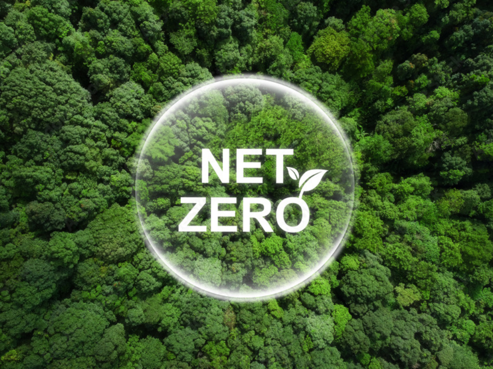 Net Zero 2030: Conoce las empresas detrás de un modelo más sostenible